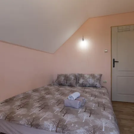 Bogu Iza Nogu 2 Apartman Bajina Bašta